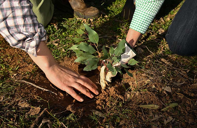 Cheap loans for farmers under green bank scheme