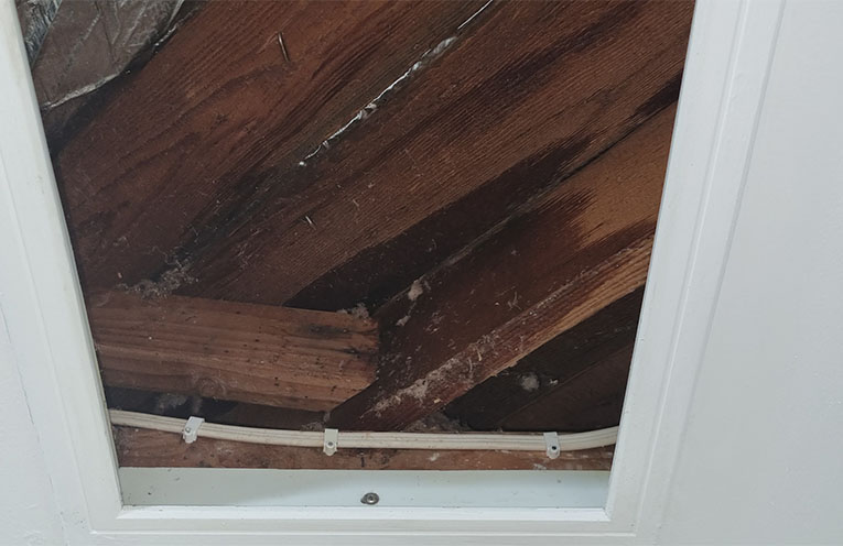 Residents urged to be aware of mould impacts after floods