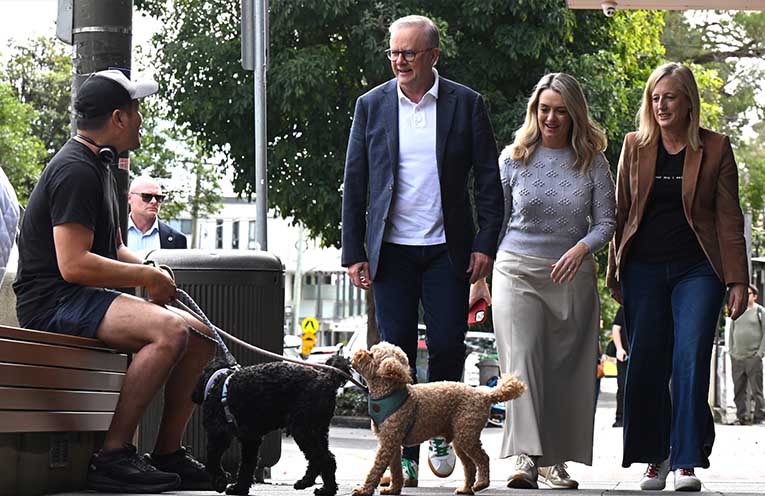 Albanese takes victory lap after Labor landslide