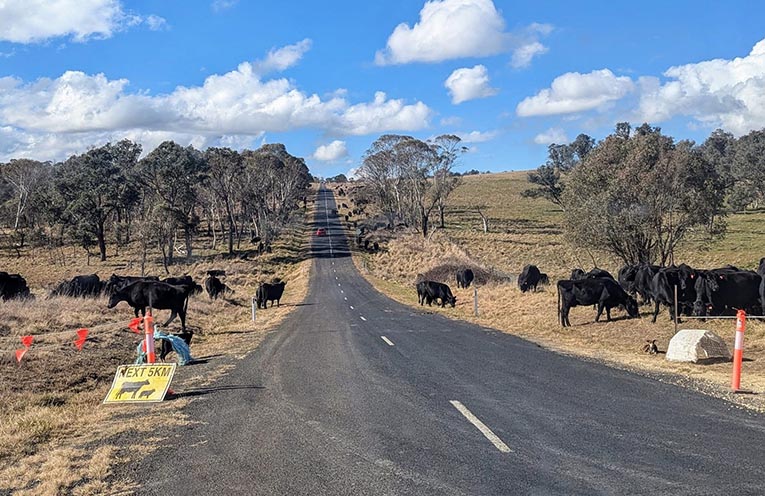 Annual farm census underway across NSW