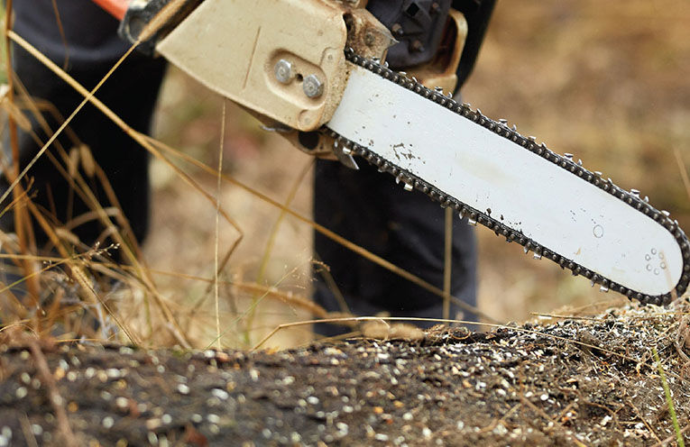 NSW residents urged to purchase firewood collection authorisations this winter