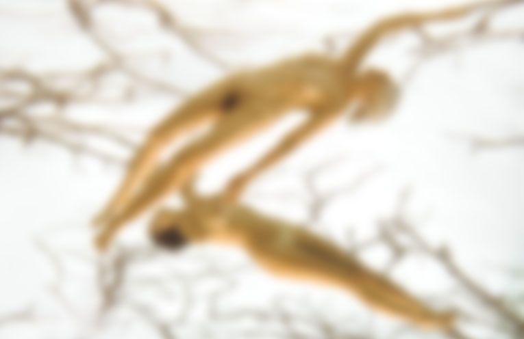 Winner announced for Naked & Nude Art Prize