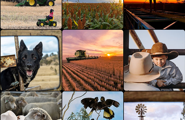 ‘Spirit of the Bush’ competition returns to celebrate life on the land