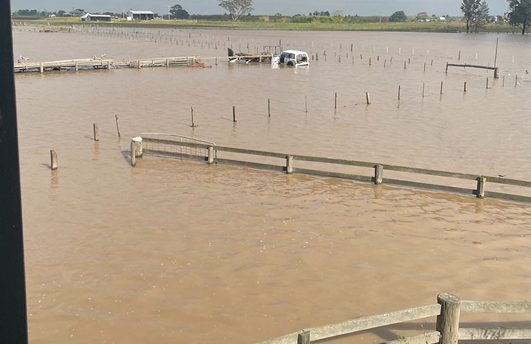 MPs call for new disaster declaration