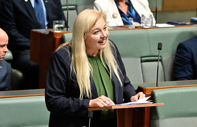 ‘The physical scars are there for all to see’: floods the focus of Penfold’s maiden speech