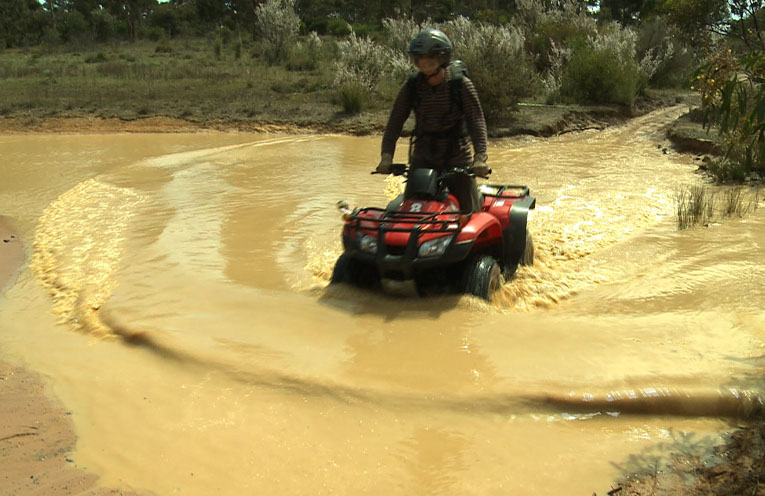 Quad bike standards saving lives as crackdown urged