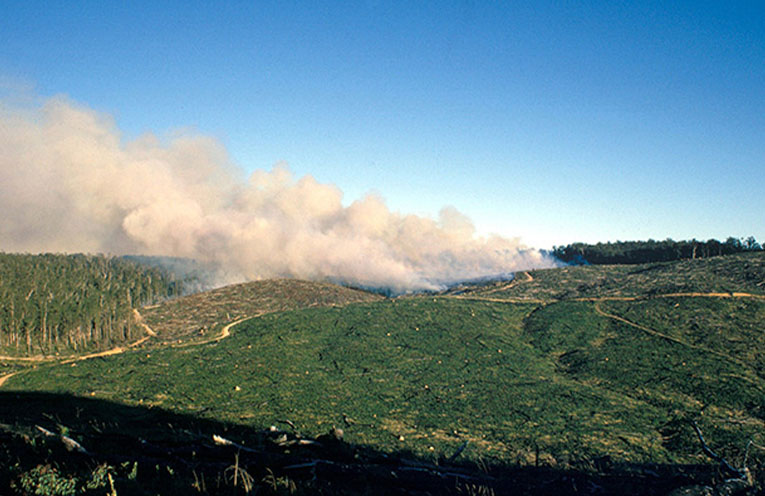 Nationals call for firefighting scheme to be made permanent