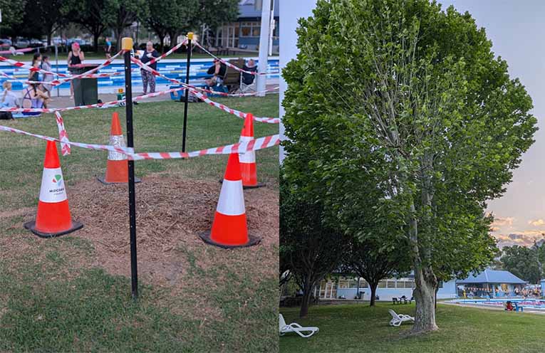 Council chops down Gloucester pool shade trees