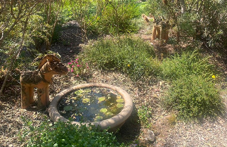 Nature at the doorstep: how to bring biodiversity to your yard