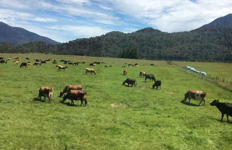 Health, housing and jobs stifling the country dream