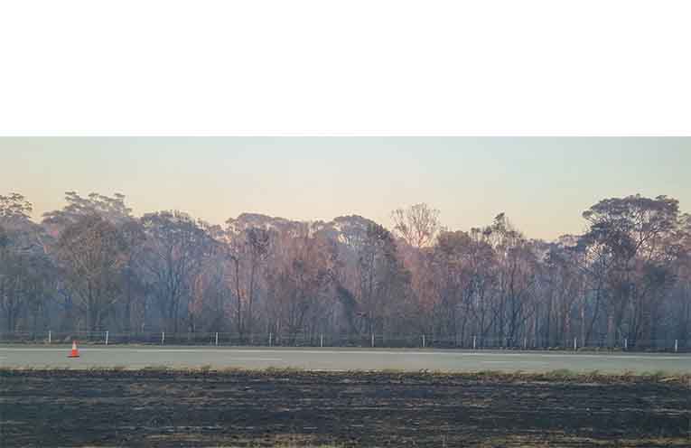 The blackened median and verge forest along the Pacific Highway north of Nerong after a long night of firefighting. Photo: Thomas O’Keefe.