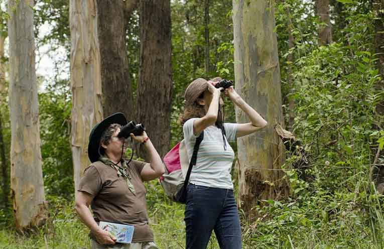 Free dog-friendly camping from coast to high country