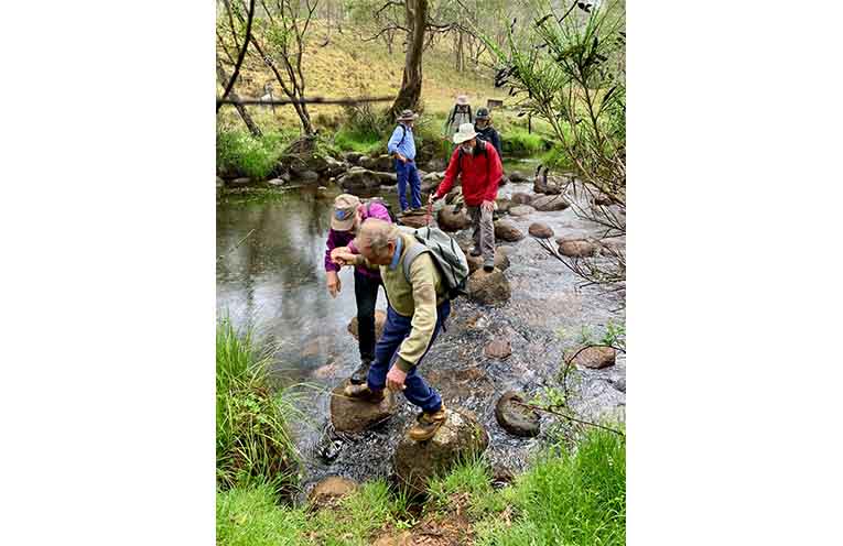 Members of the Gloucester Environment Group on their hike to Careys Peak on 18 January. Photos: supplied.
