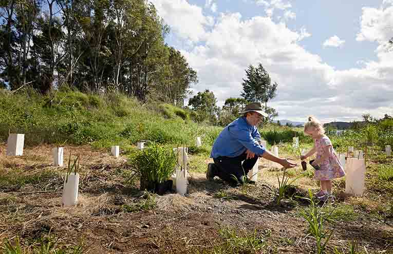 Free koala feed trees and prizes at Nabiac Market