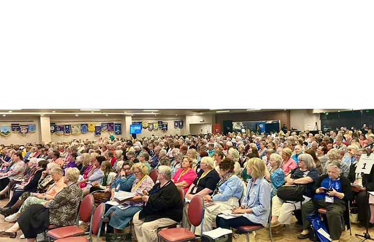 Delegates at this year's conference.