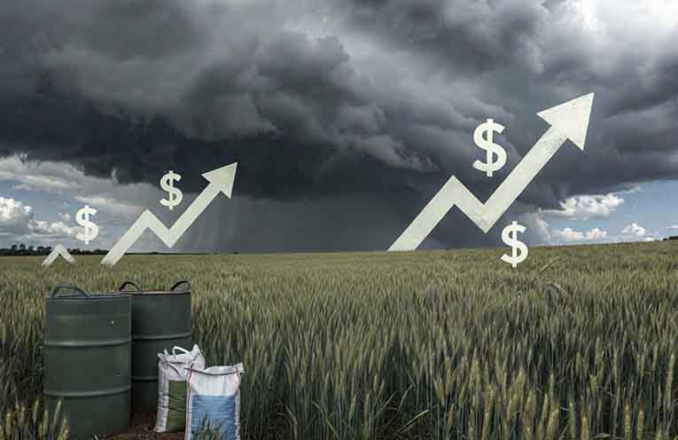 NSW Farmers: Farmers confidence ‘plummets’ amid cost crisis
