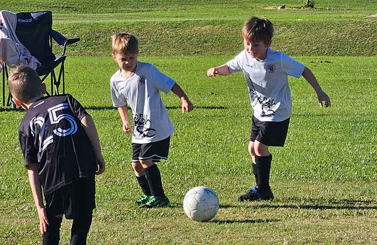 Gloucester soccer mini roos action