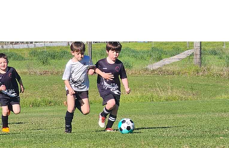 SPORT_Scorpions club_PY3
