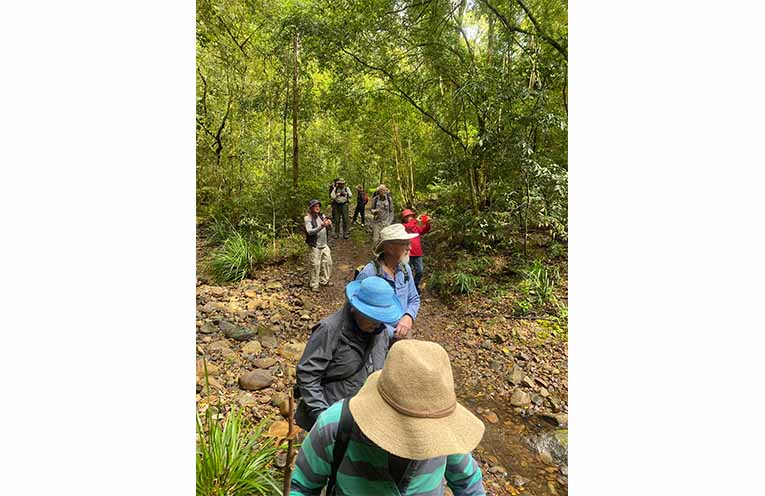 Walking through beautifully regenerated bushland. Photo: Supplied.