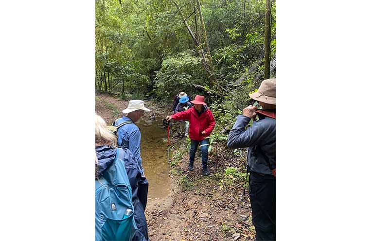 Walkers skirting a pond on Stony Creek. Photo: Supplied.