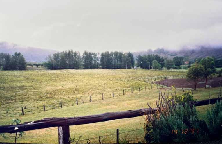 There were lots of bare paddocks before the Henrys created the forests, lake and wetlands at Valentia.